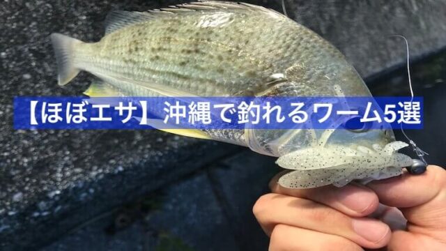 沖縄で釣れるワーム5選