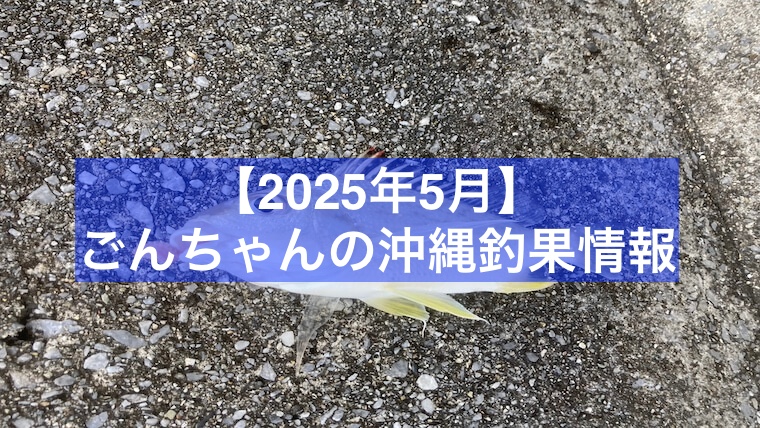 2025年5月釣果