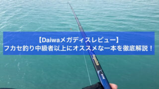 メガディスレビュー