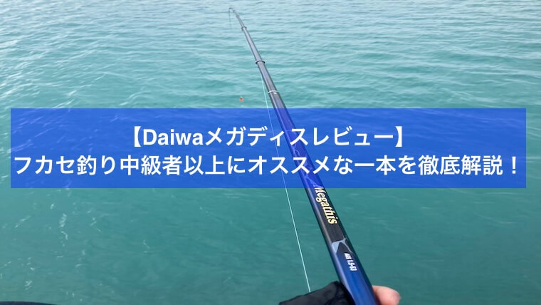 メガディスレビュー