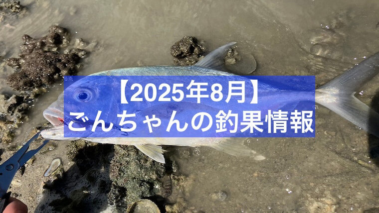 2025年8月釣果情報