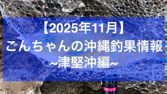 2025年11月釣果