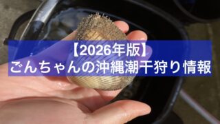【2026年】ごんちゃんの沖縄潮干狩り情報