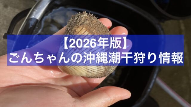 【2026年】ごんちゃんの沖縄潮干狩り情報