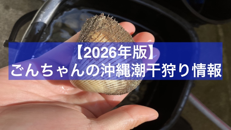 【2026年】ごんちゃんの沖縄潮干狩り情報