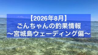 【2026年8月】ごんちゃんの釣果情報