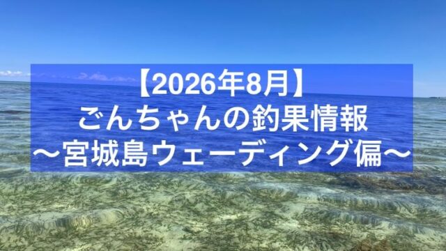【2026年8月】ごんちゃんの釣果情報