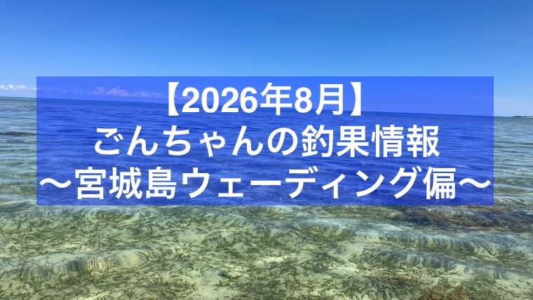 【2026年8月】ごんちゃんの釣果情報